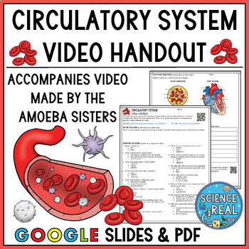 Preview of Circulatory System Amoeba Sisters Handout