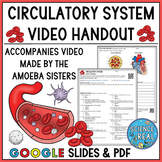 Circulatory System Amoeba Sisters Handout