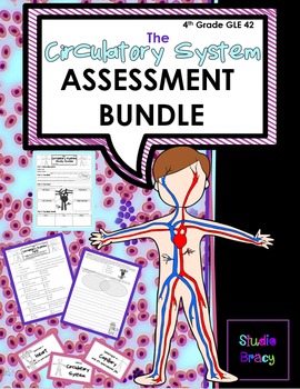 Preview of Circulatory System Assessment BUNDLE