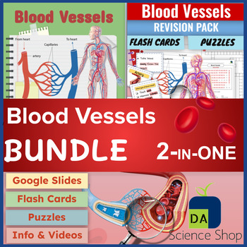 Preview of Circulatory System - Blood Vessels BUNDLE