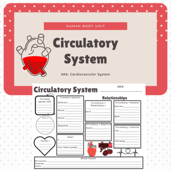 Preview of Circulatory System Bundle