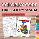 Circulatory System COLOR BY CODE