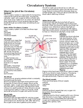 Preview of Circulatory System: Class Summary