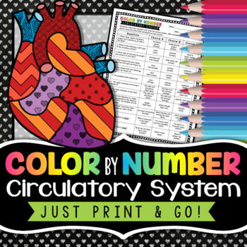 Preview of Circulatory System Color by Number - Science Color By Number