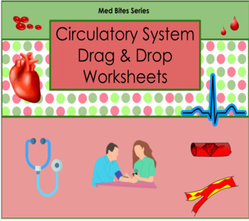 Preview of Circulatory System - Drag & Drop Worksheets (Med Bites Series)