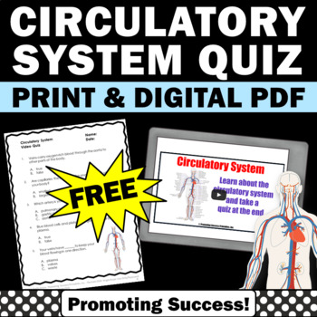 Preview of FREE Circulatory System Human Body Activities 5th Grade Science Curriculum Biolo