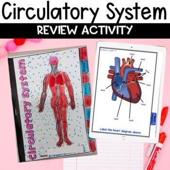 Circulatory System Review Activity by Teaching Muse | TpT