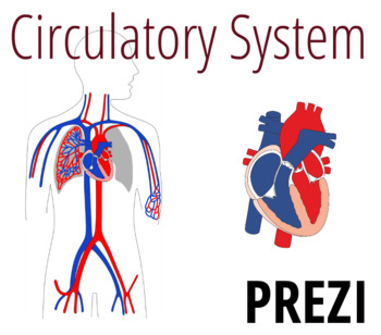 Circulatory System Prezi by BioGeo Science | Teachers Pay Teachers