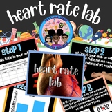 Circulatory System- Heart Rate Activity Comparison Lab