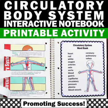 Preview of Circulatory System 5th Grade Science Interactive Notebook Human Body Activities