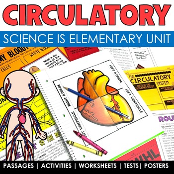 Preview of Circulatory System Human Body Systems Worksheets Passages and Graphic Organizers