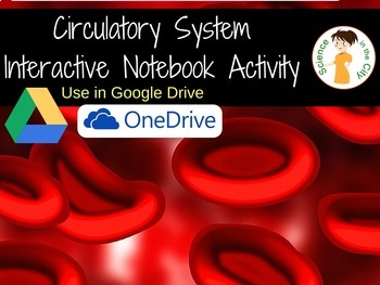 Preview of Circulatory System: Digital Interactive Activity