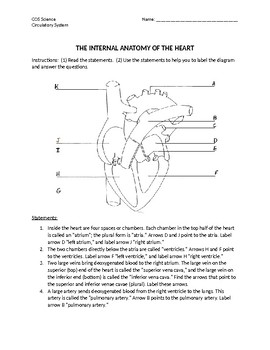 Circulatory System Internal Anatomy Of Heart Worksheet Cosmetology Science