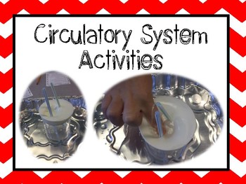 Preview of Circulatory System Investigations, Circulatory System Lab, Cardiovascular System