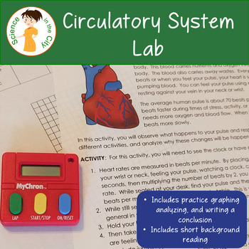 Preview of Circulatory System Lab Activity