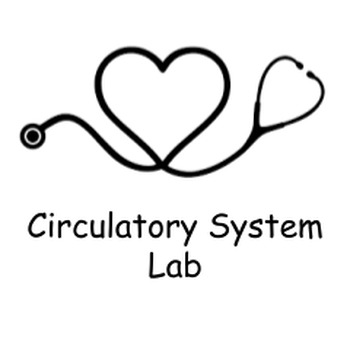 Preview of Circulatory System Lab