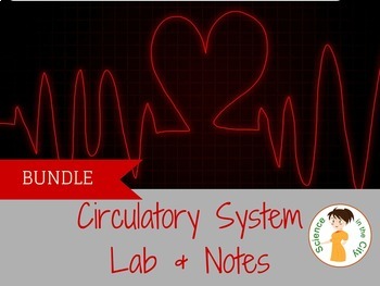 Preview of Circulatory System Bundle