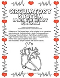 Circulatory System: Label the Heart