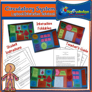 Preview of Circulatory System Lapbook/Interactive Notebook