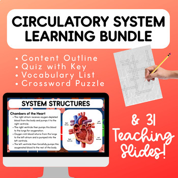 Preview of Circulatory System Learning Bundle
