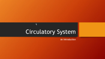 Preview of Circulatory System Notes (Blank & Filled)