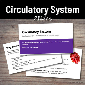 Preview of Middle School Circulatory System Notes - Detailed Heart Health Lesson