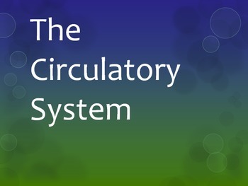 Preview of Circulatory System PPT