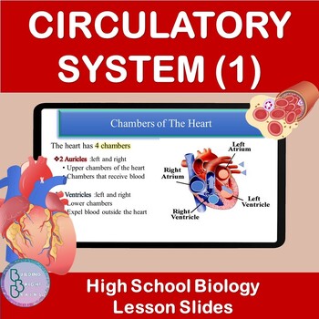 Preview of Circulatory System Part 1 | PowerPoint Lesson Slides High School Biology