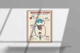 Circulatory System Poster, Body Systems Printable, Digital