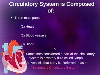 Circulatory System PowerPoint by Sandra Gibbs | Teachers Pay Teachers