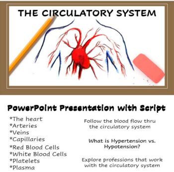 Preview of Circulatory System PowerPoint Lesson with Animation and Script
