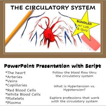 Preview of Circulatory System PowerPoint Lesson with Script, Blood Component Lab, and Quiz