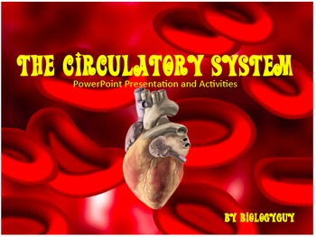 Preview of Circulatory System, Powerpoint Presentation and Activities