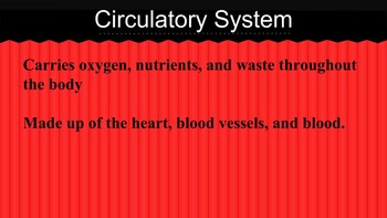 Preview of Circulatory System Presentation and Notes
