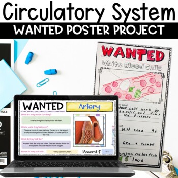 Preview of Circulatory System Project