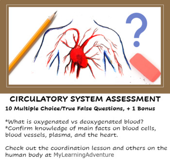 Preview of Circulatory System Quiz