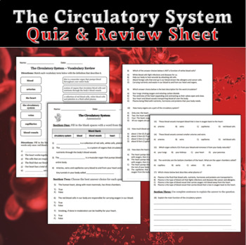 Preview of Circulatory System Quiz and Review Sheet