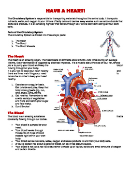 Preview of Circulatory System Reading, Writing and Art Activity