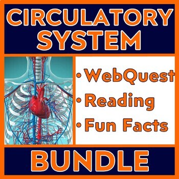 Preview of Circulatory System Reading and Activity Bundle