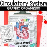 Circulatory System Review Activity