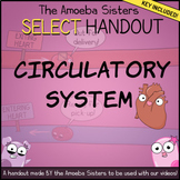 Circulatory System- SELECT Recap + Answer Key by Amoeba Sisters