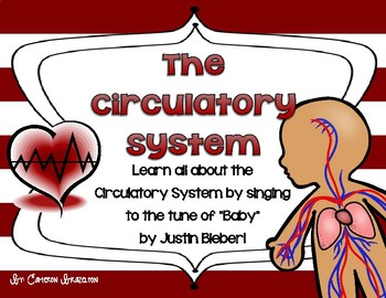 Preview of Circulatory System Song Lyrics (Heart, Veins, Arteries, Vessels)
