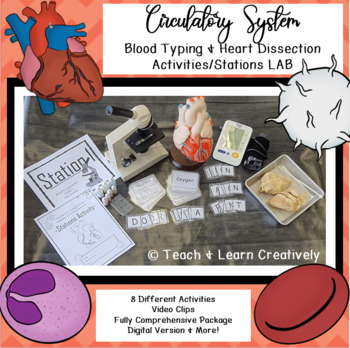 Preview of Circulatory System Stations Lab Activity Review Enrichment