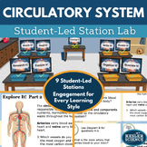 Circulatory System Student-Led Station Lab