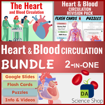 Preview of Circulatory System - The Heart & Blood Circulation BUNDLE