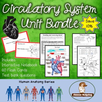 Preview of Circulatory System Unit Bundle