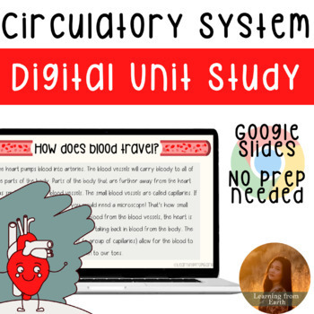 Preview of Circulatory System Unit- interactive