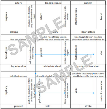 Preview of Circulatory System Vocab Puzzle