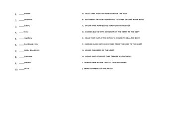 Circulatory System Vocabulary by Ms Boyer | Teachers Pay Teachers