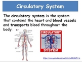 Circulatory System Vocabulary Introduction-Differentiated 